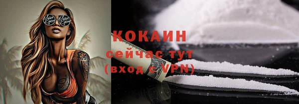 мяу мяу мука Баксан