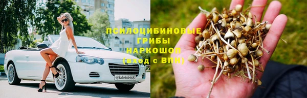 мяу мяу мука Баксан